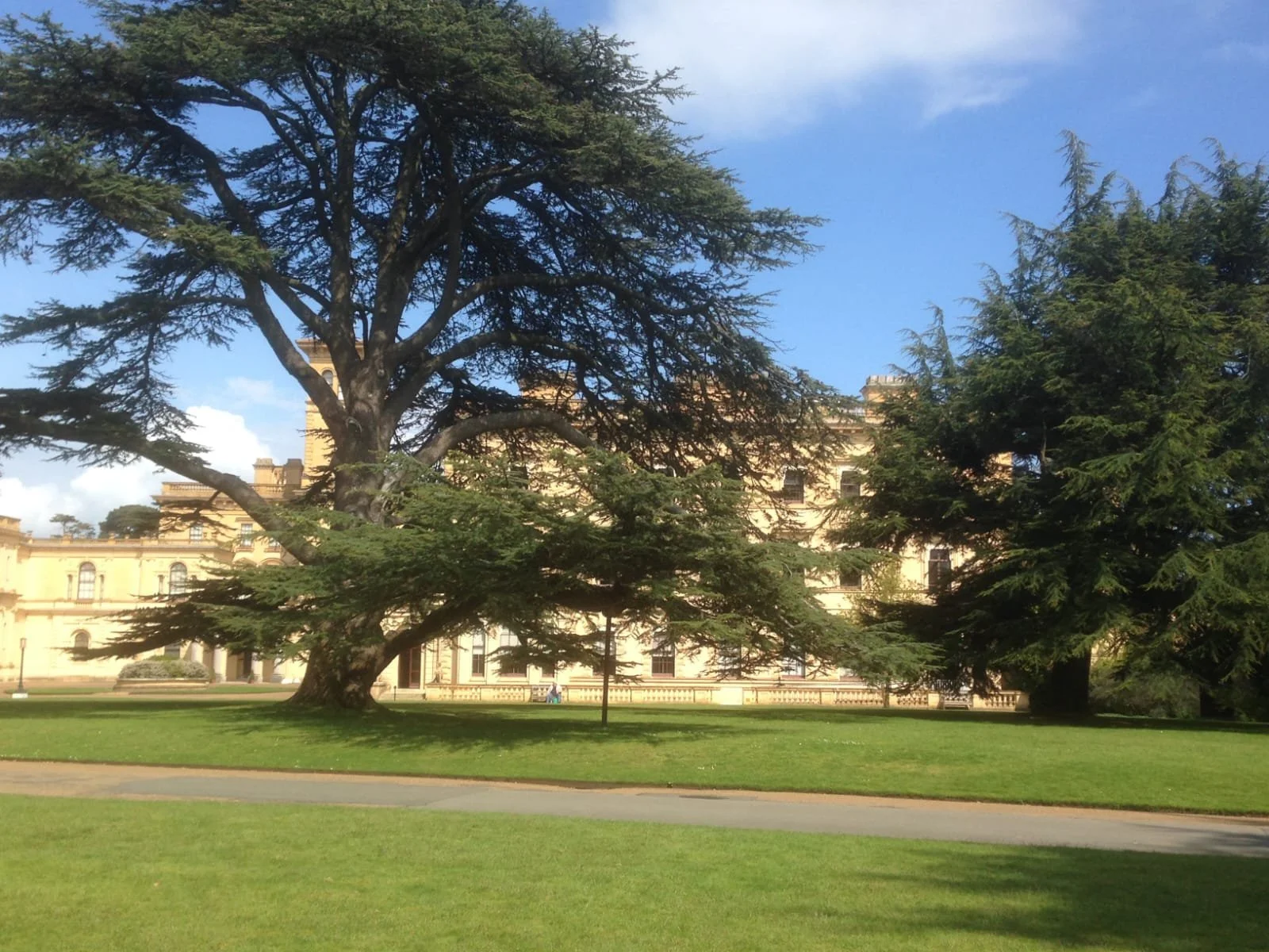 Large historic building with a beige facade and black windows, framed by two big trees with expansive branches, grassy lawn in the foreground, and a blue sky with some clouds.