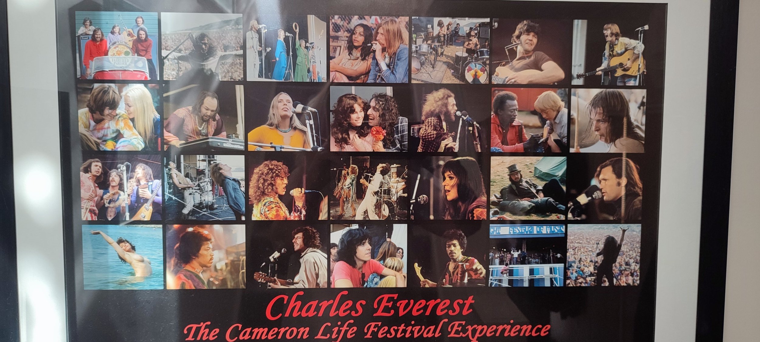 A collage of photos from the Charles Everest The Cameron Life Festival Experience, showing musicians, performers, and festival attendees enjoying various activities and performances.