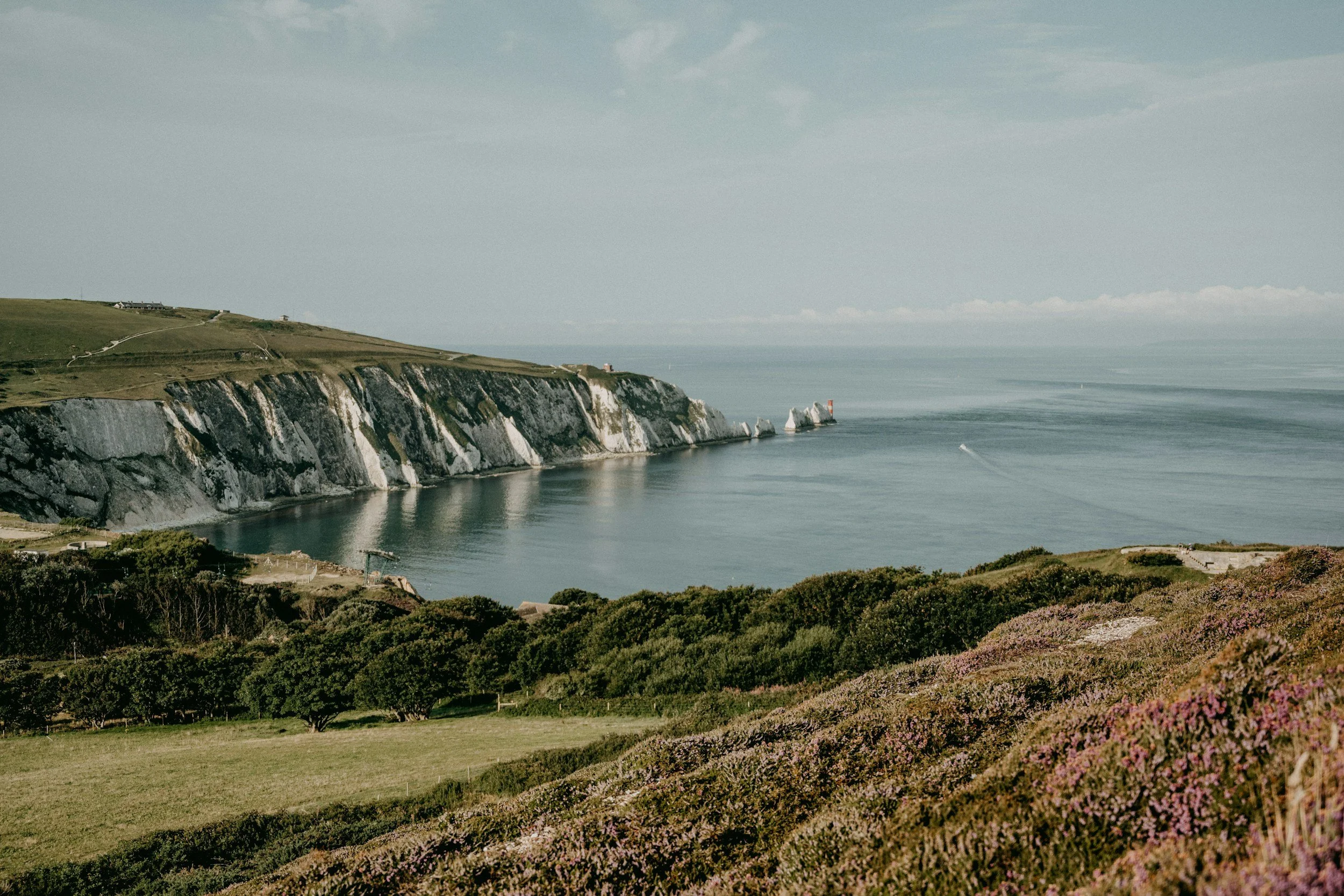Landscape view of white chalk cliffs along a coastline with a lighthouse in the distance, green grassy areas, and purple heather in the foreground under a cloudy sky.