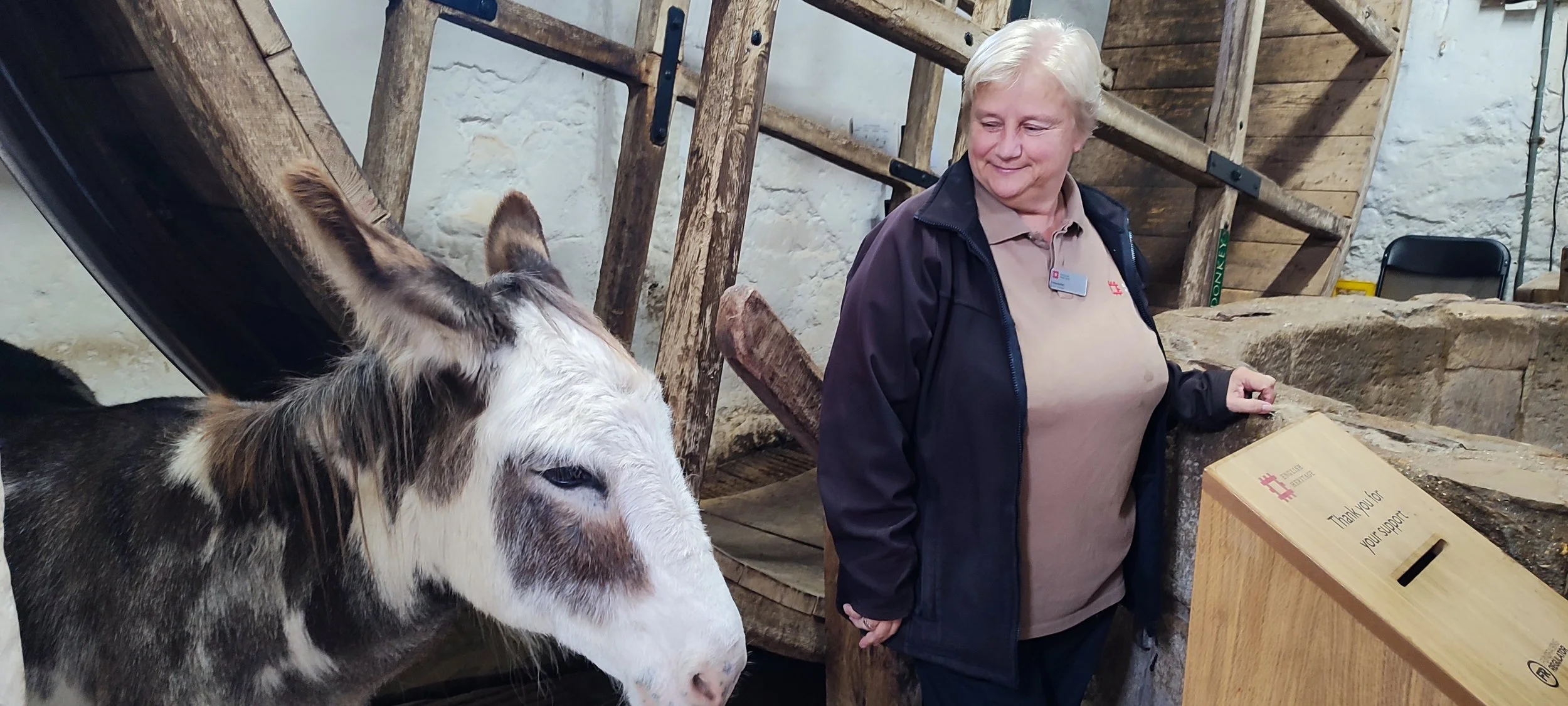 war and peace-Carisbrooke Castle-03.jpg