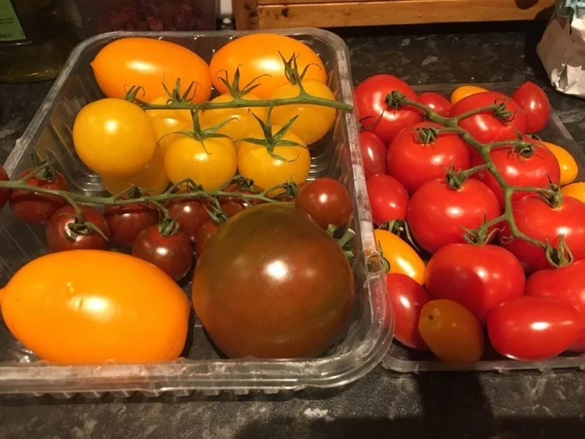 retail section-iow tomatoes.jpeg