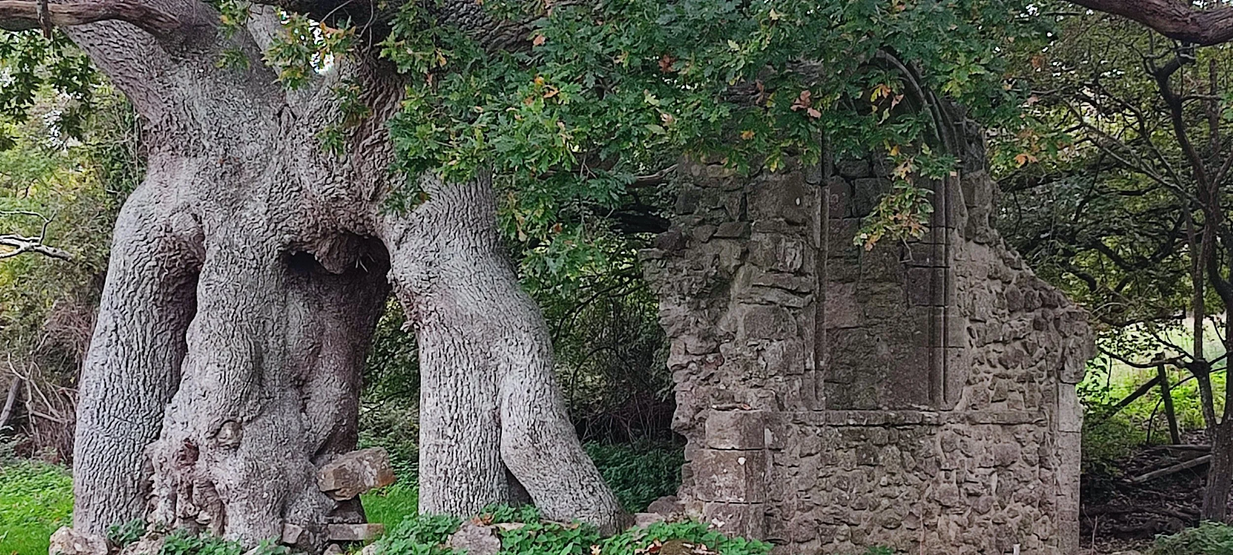 Quarr Abbey ruins-13.jpg