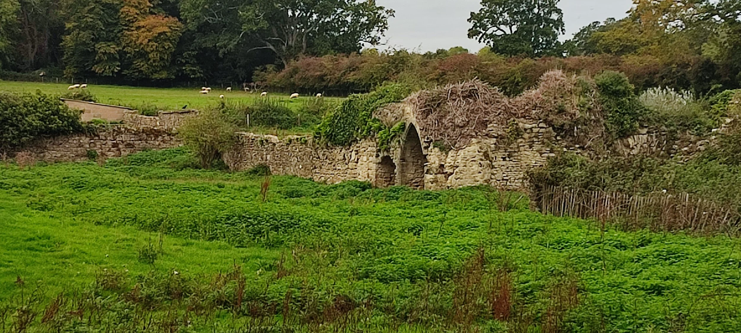 Quarr Abbey ruins-16.jpg
