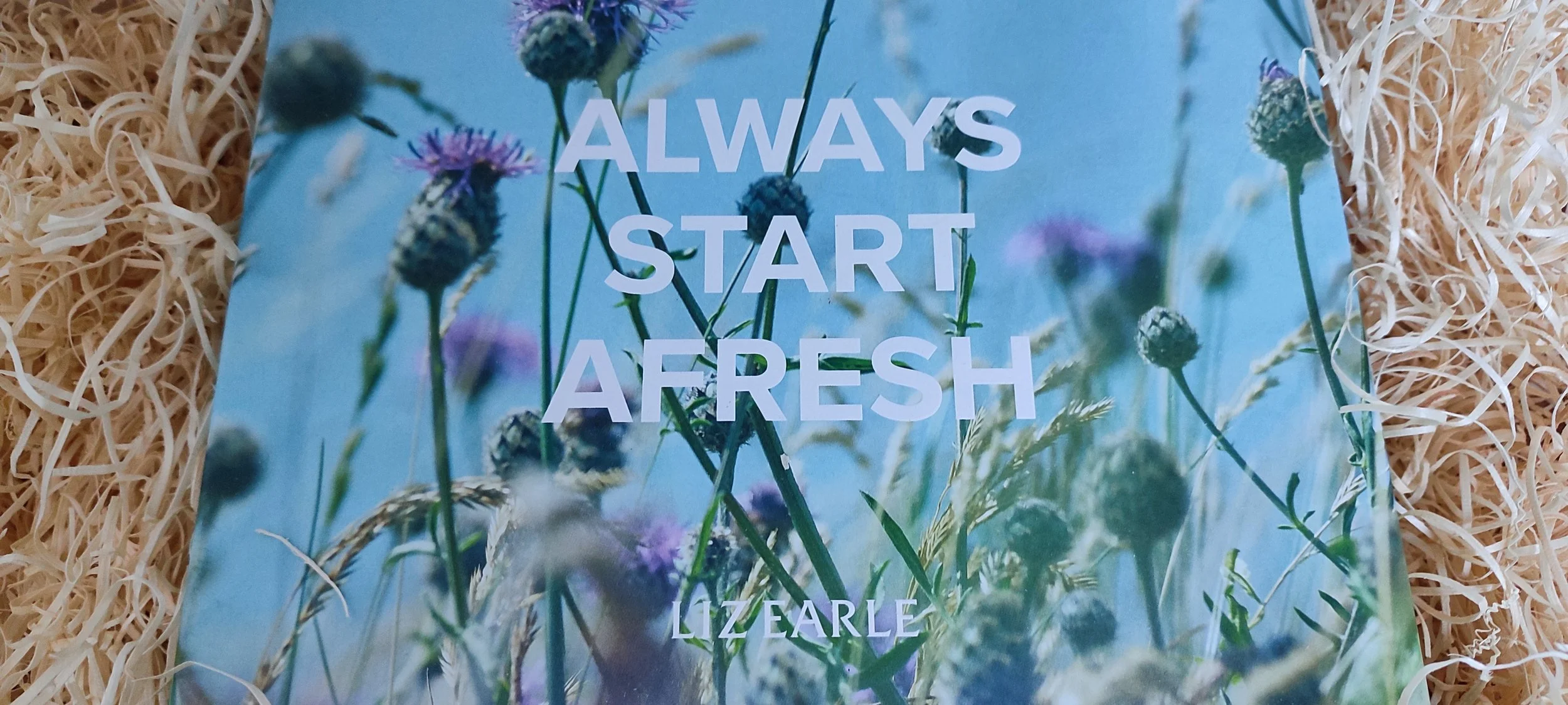 Book titled "Always Start Afresh" by Lizearle, featuring a background of purple thistle flowers and green stems against a blue sky, surrounded by straw-like filling.