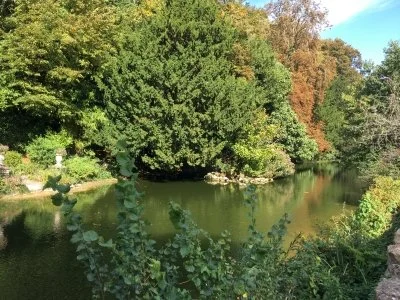 A peaceful river surrounded by green trees and foliage on a bright, sunny day.