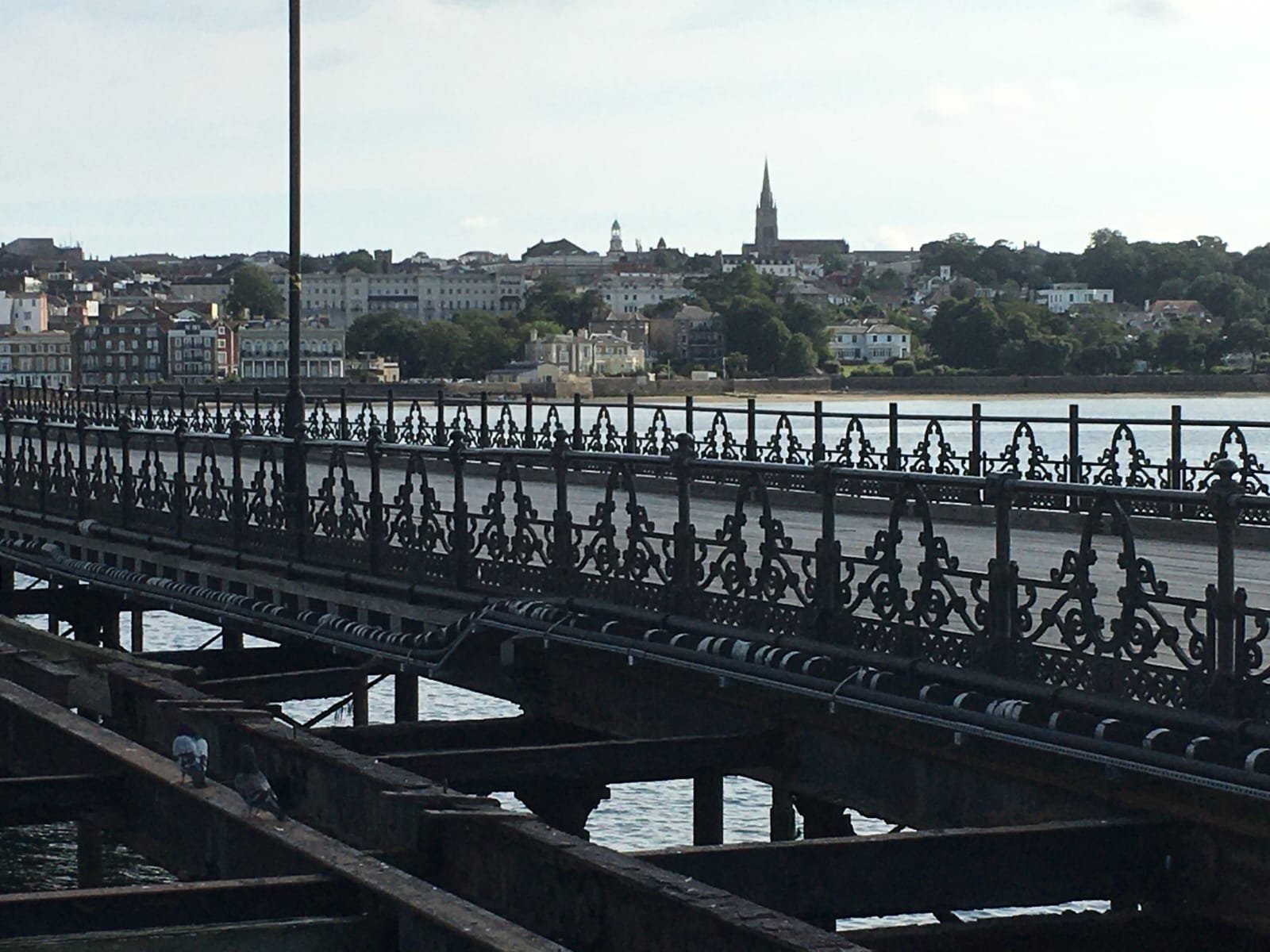 View of a cityscape with historic buildings and homes across a river, seen from a decorative iron bridge.
