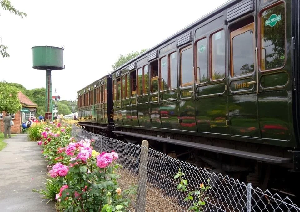 A black vintage train on tracks, passing by a sidewalk with pink roses and a chain-link fence. A water tower and people are visible in the background.
