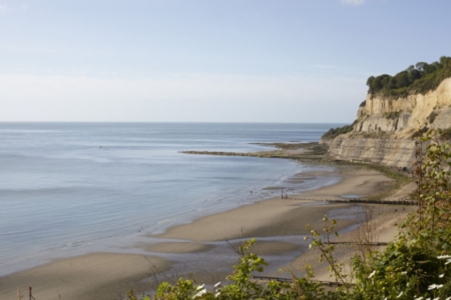 A beach with sandy shores, calm ocean waves, and a steep cliff with green vegetation on top.