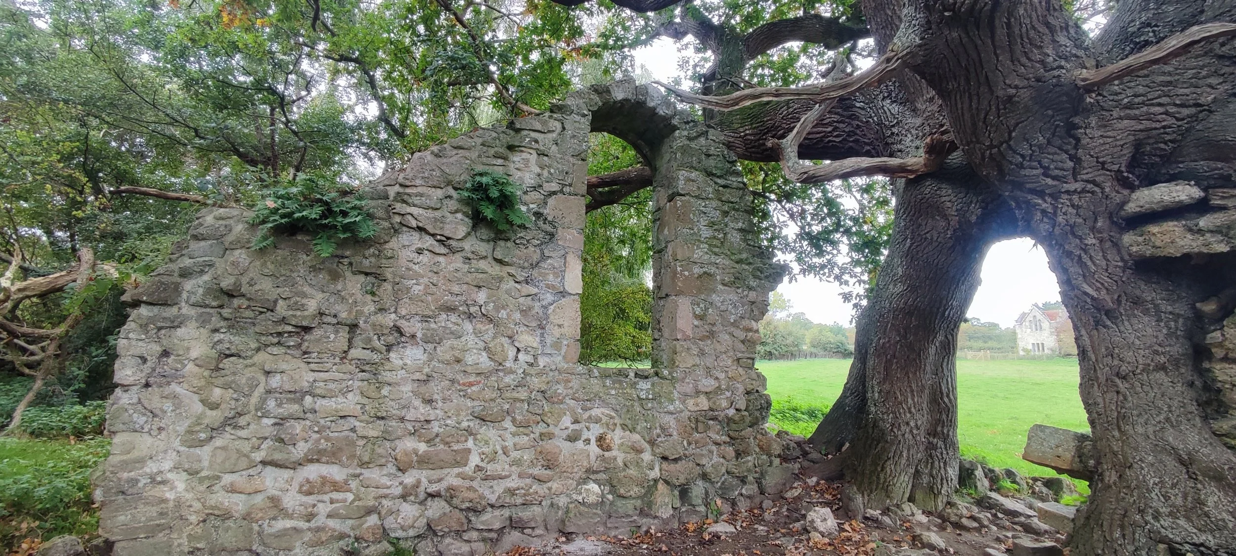 Quarr Abbey ruins-19.jpg