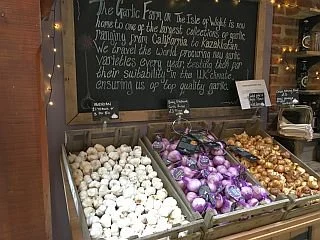Baskets of garlic bulbs in a store display, with a chalkboard sign in the background.