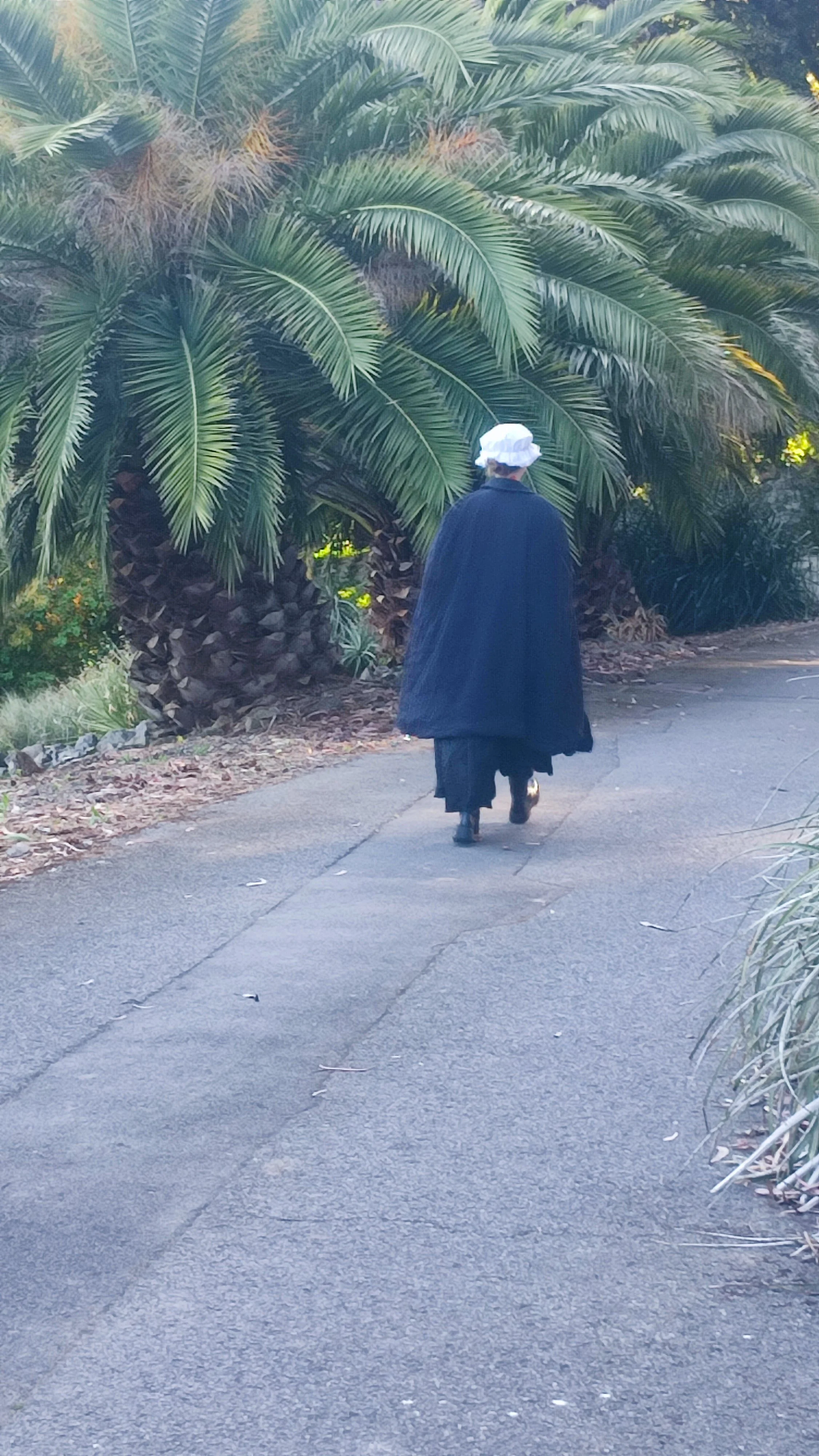 A person dressed in black robes and a white head covering walking on a paved path surrounded by large palm trees and lush greenery.