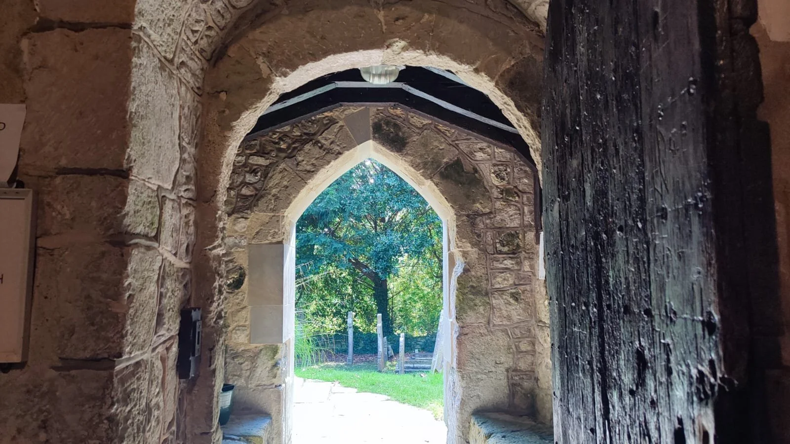 View through a stone archway showing a green leafy tree outside on a sunny day.