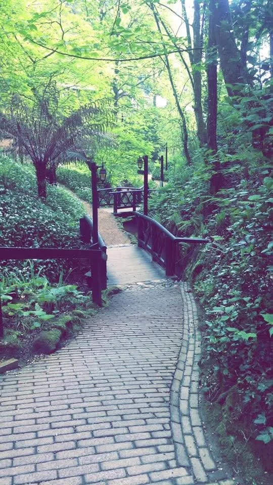 A winding brick pathway in a lush green forest with lampposts along the trail.