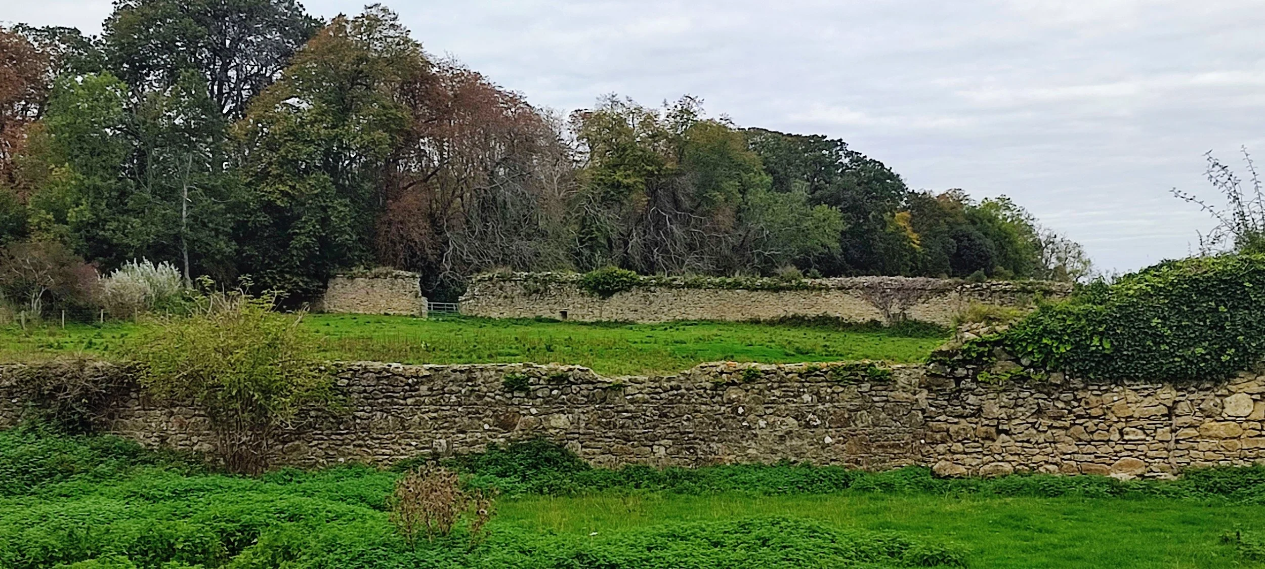 Quarr Abbey ruins-7.jpg