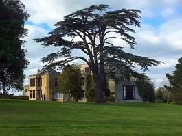 A large tree in front of a multi-story residential building with a grassy area in the foreground and a partly cloudy sky.