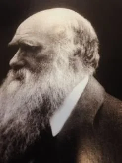 Black and white portrait of an elderly man with a long beard, facing left.