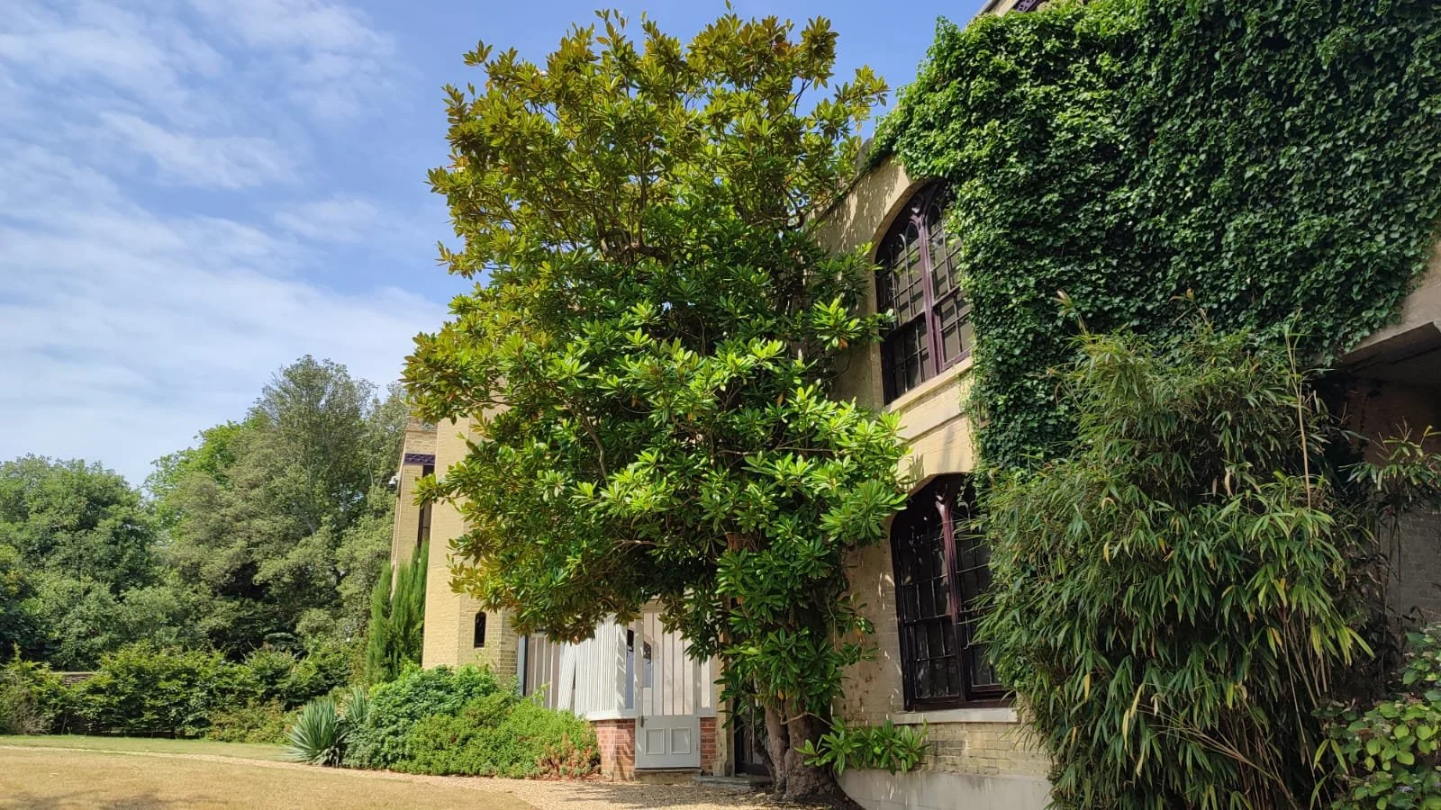 Exterior view of a house surrounded by greenery, including trees, bushes, and ivy climbing the walls. The house has windows with black frames and a partially open white door.