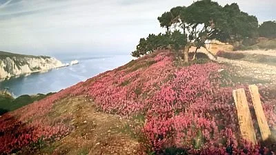 Headon Warren heather-02