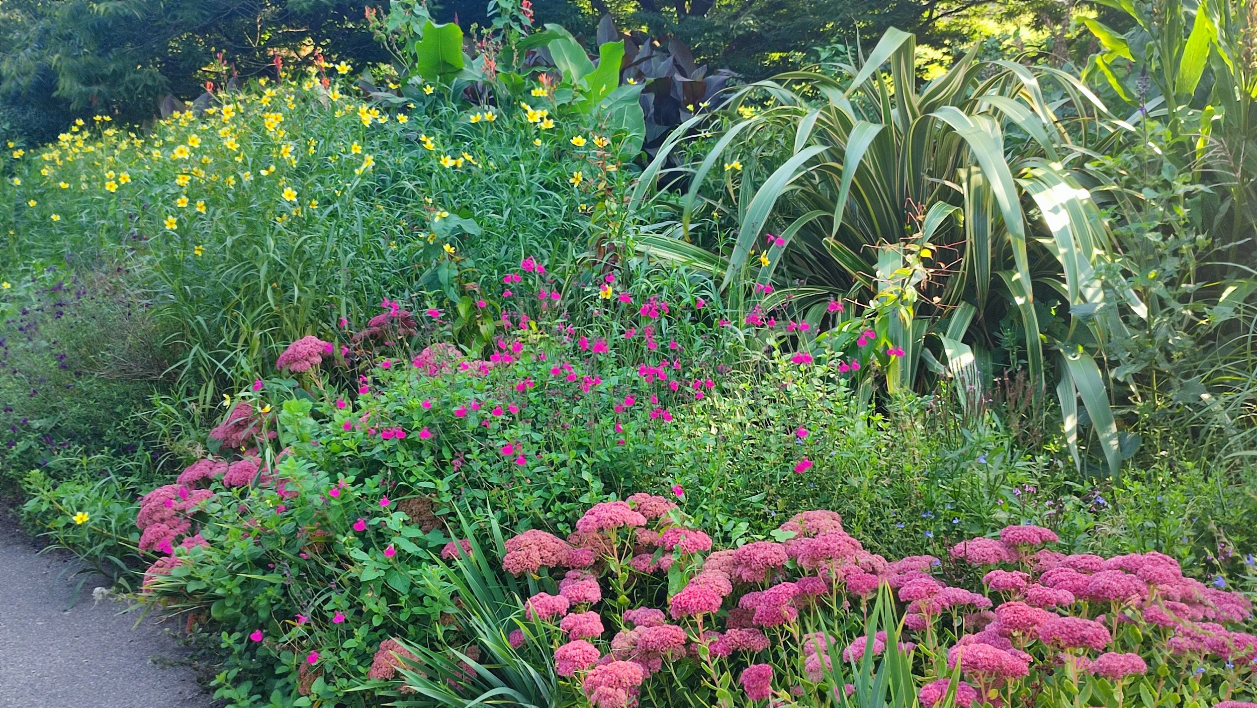 A lush garden with a variety of colorful flowers, including pink, yellow, and purple blossoms, surrounded by greenery and tall grasses.