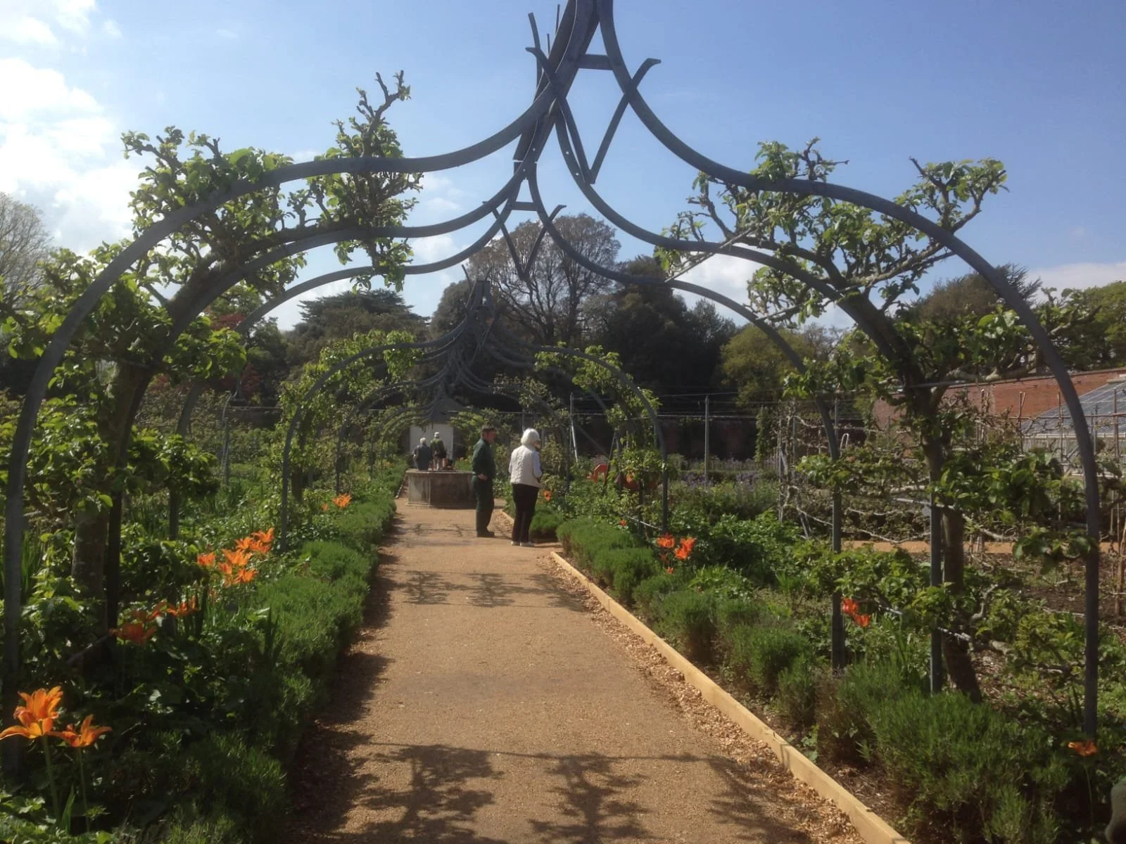 People walking through a garden with arched metal trellises covered in green vines and orange flowers along a dirt pathway.