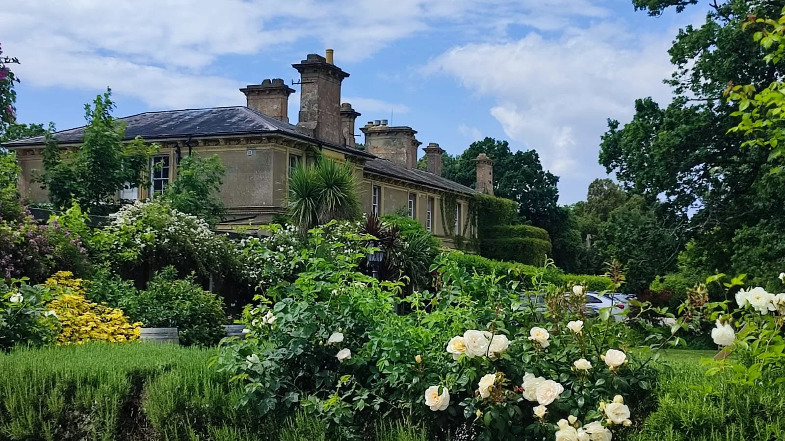 A large historic stone mansion surrounded by lush green trees, shrubs, and blooming white roses in a well-maintained garden under a partly cloudy sky.