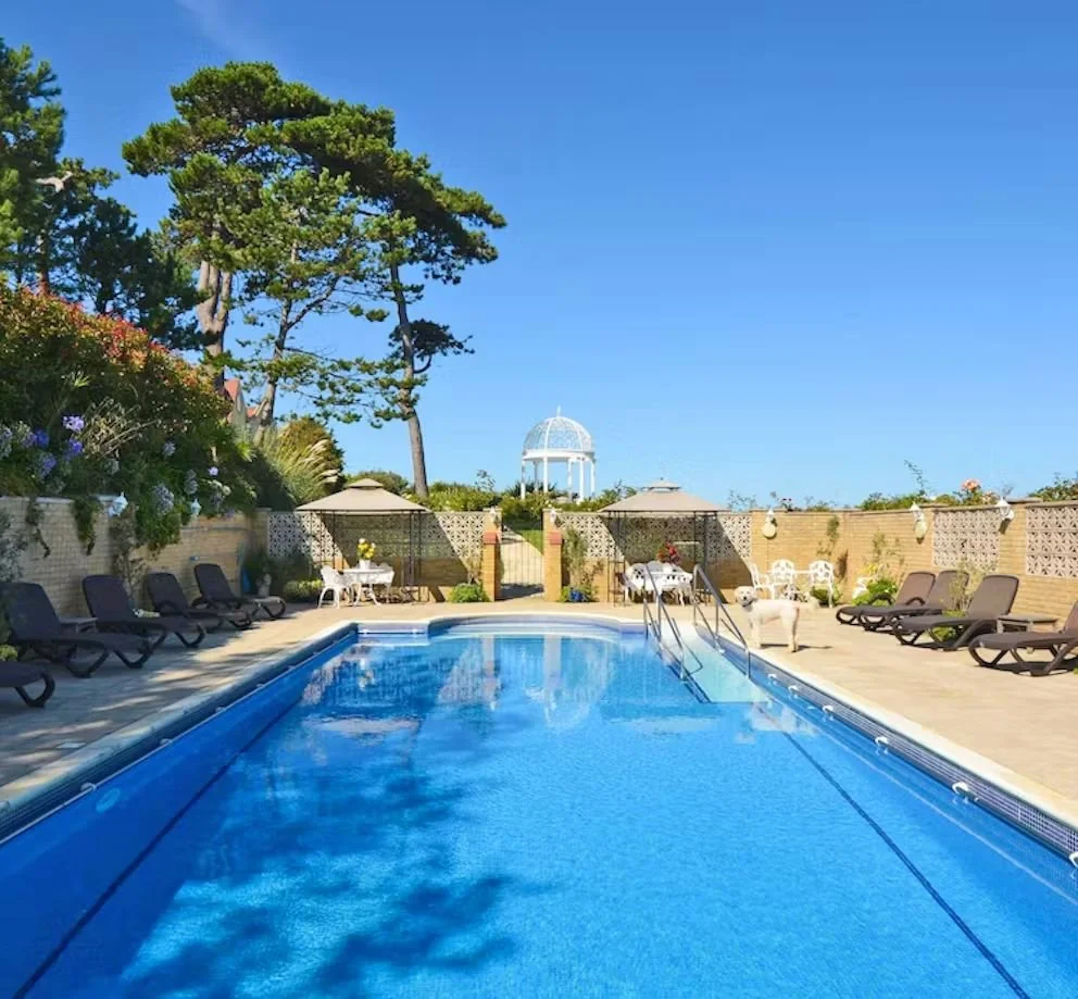 Outdoor swimming pool with lounge chairs, tables, and umbrellas on a sunny day, with trees, a gazebo in the background, and a white dog near the pool.