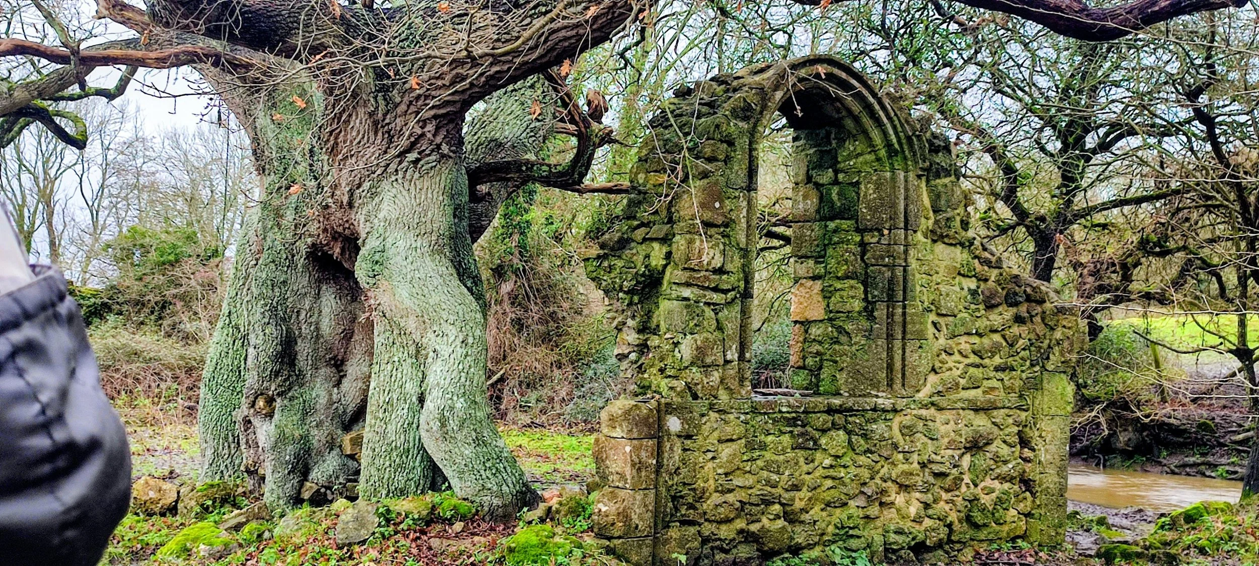 Cistercian Abbey section-revolving-spiritual.jpeg
