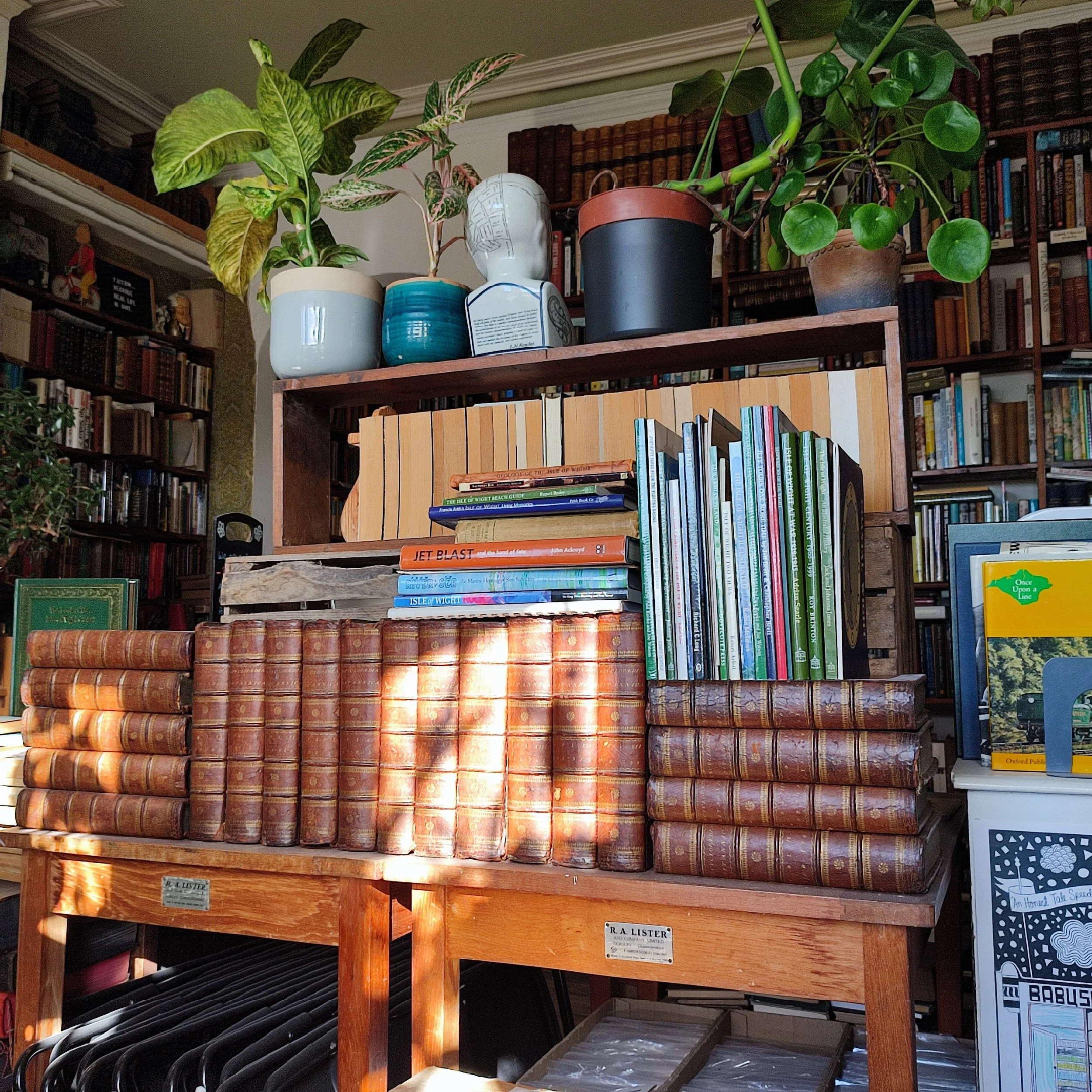 A bookshelf filled with numerous books, potted plants on top, and a wooden table with a large collection of old leather-bound books in the foreground.