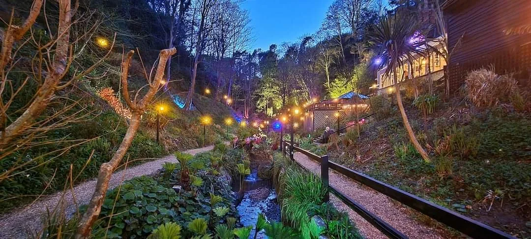 Nighttime garden pathway with string lights overhead, surrounded by lush plants and trees on a hillside.