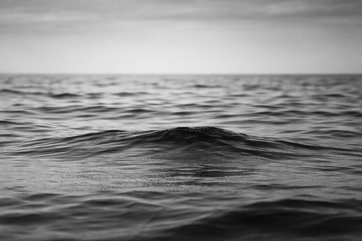 Black and white photo of the ocean with small waves and a horizon in the distance.