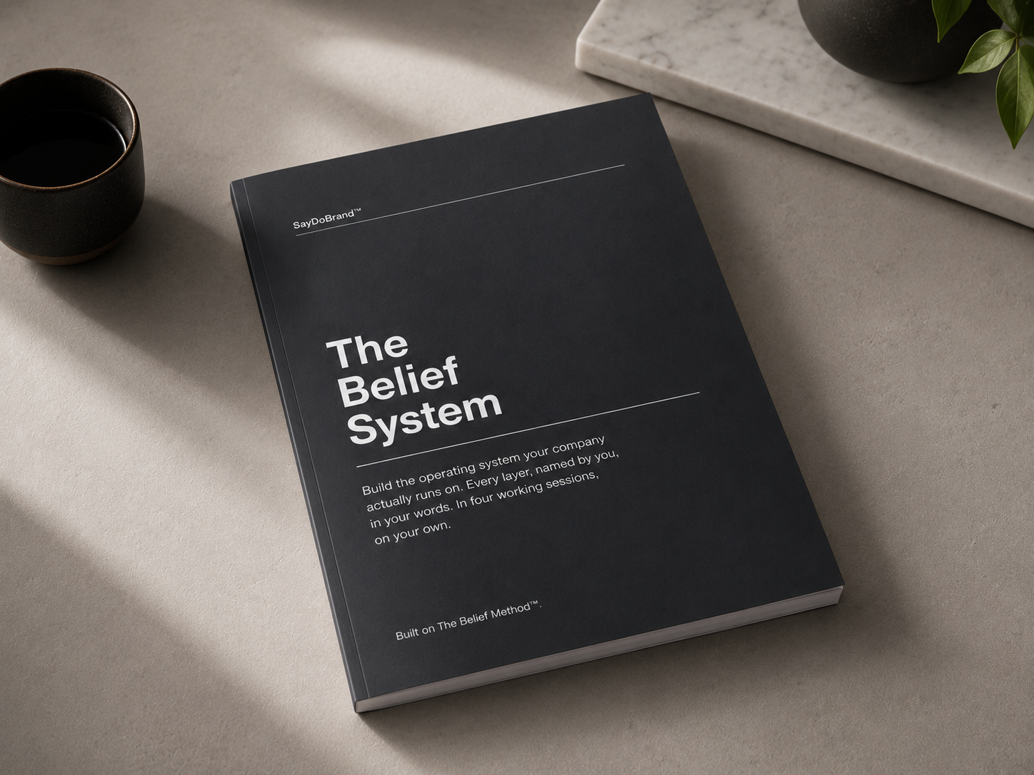 The Belief System™