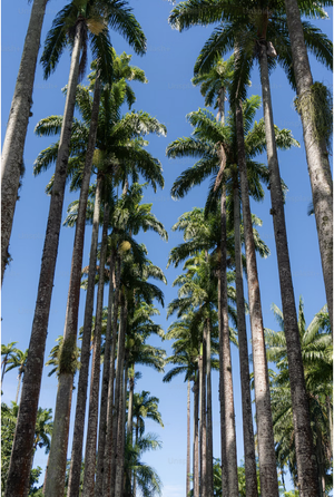 How to Design a Wedding That Feels Like You