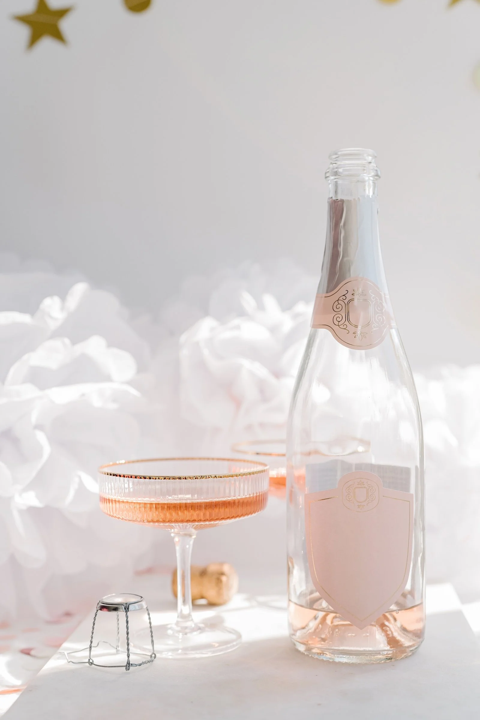wedding-toast-champagne-coupe-detail.jpg