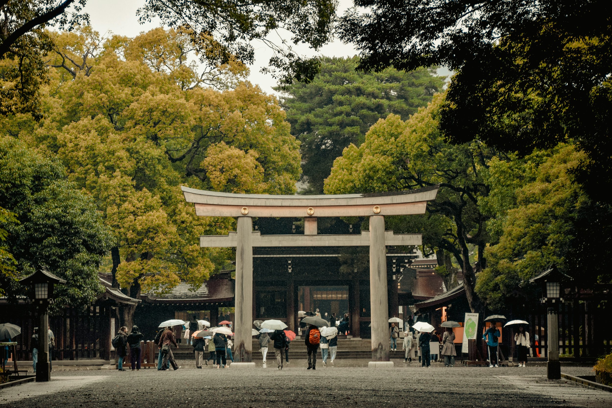 People with umbrellas visiting a traditional Shinto shrine with a forested background and a torii gate.