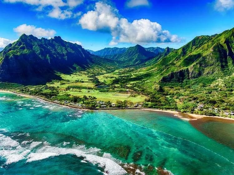 A vibrant aerial view of a lush green valley with mountains in the background, adjacent to a turquoise ocean with a sandy shoreline.