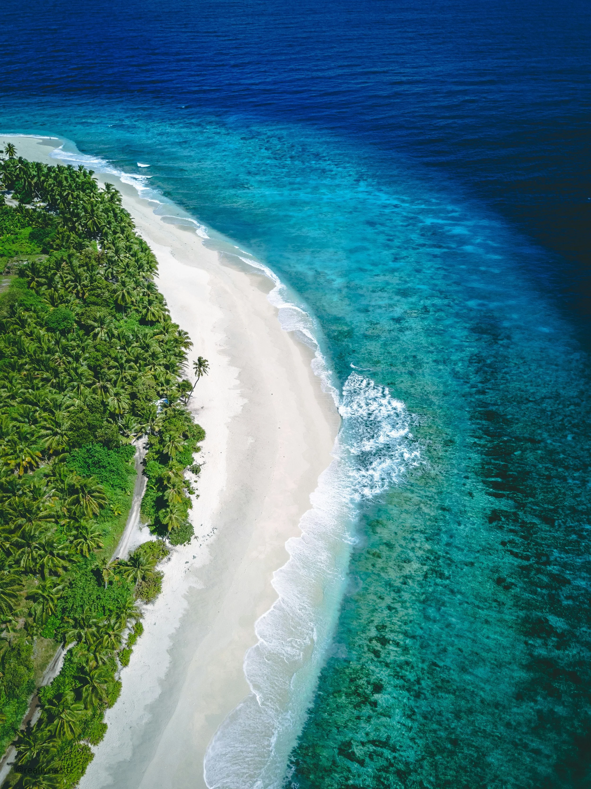Aerial view of a tropical beach with white sand, green palm trees, and turquoise ocean water.