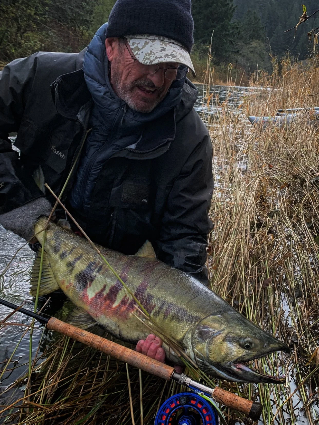 Coastal Chum Salmon