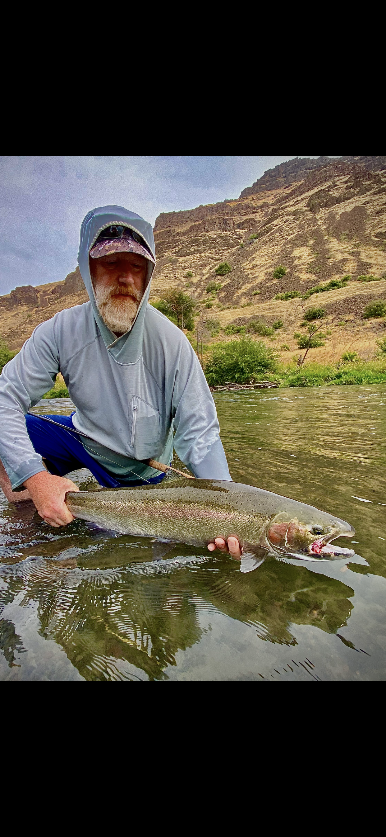 Deschutes Steelhead