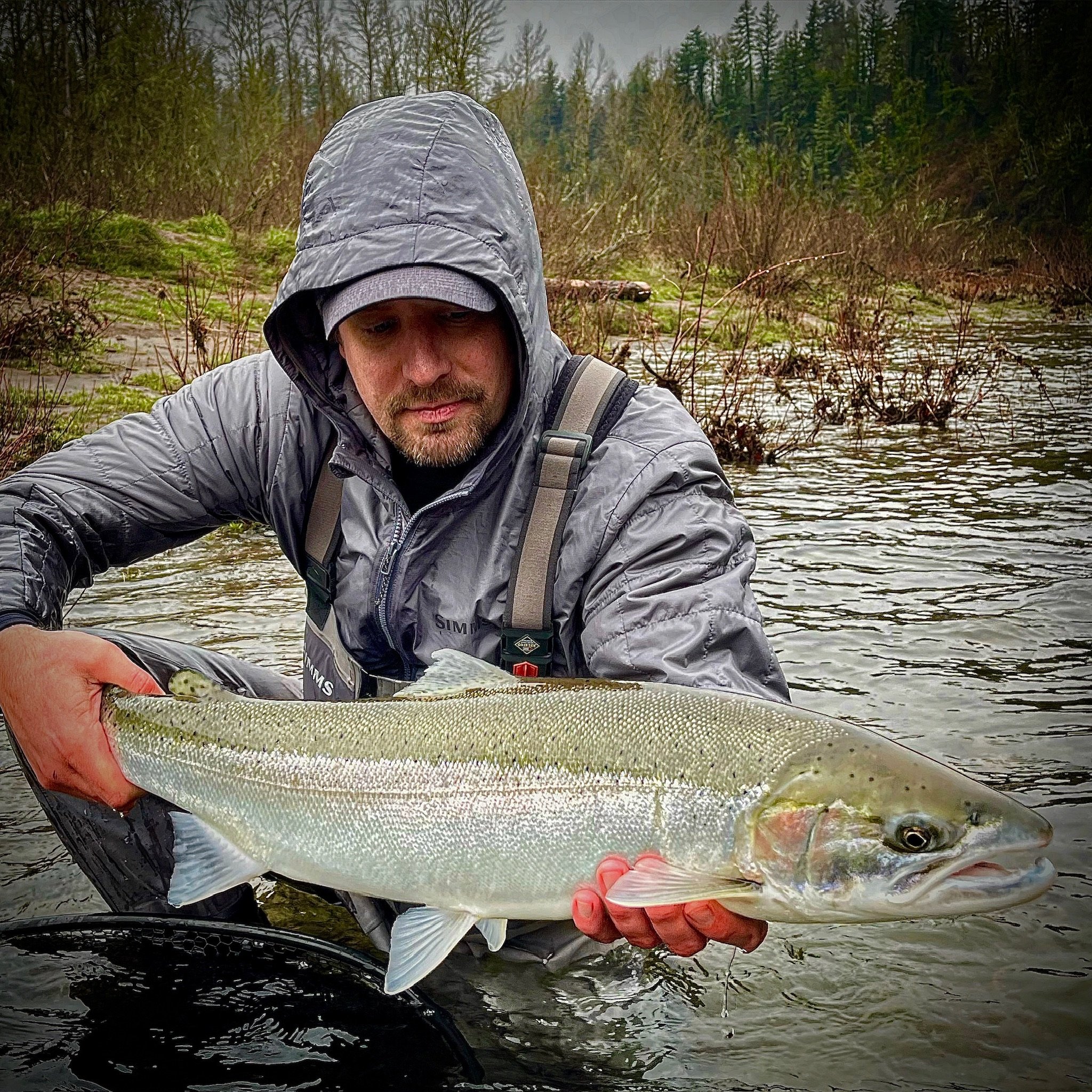 Sandy River Steelhead