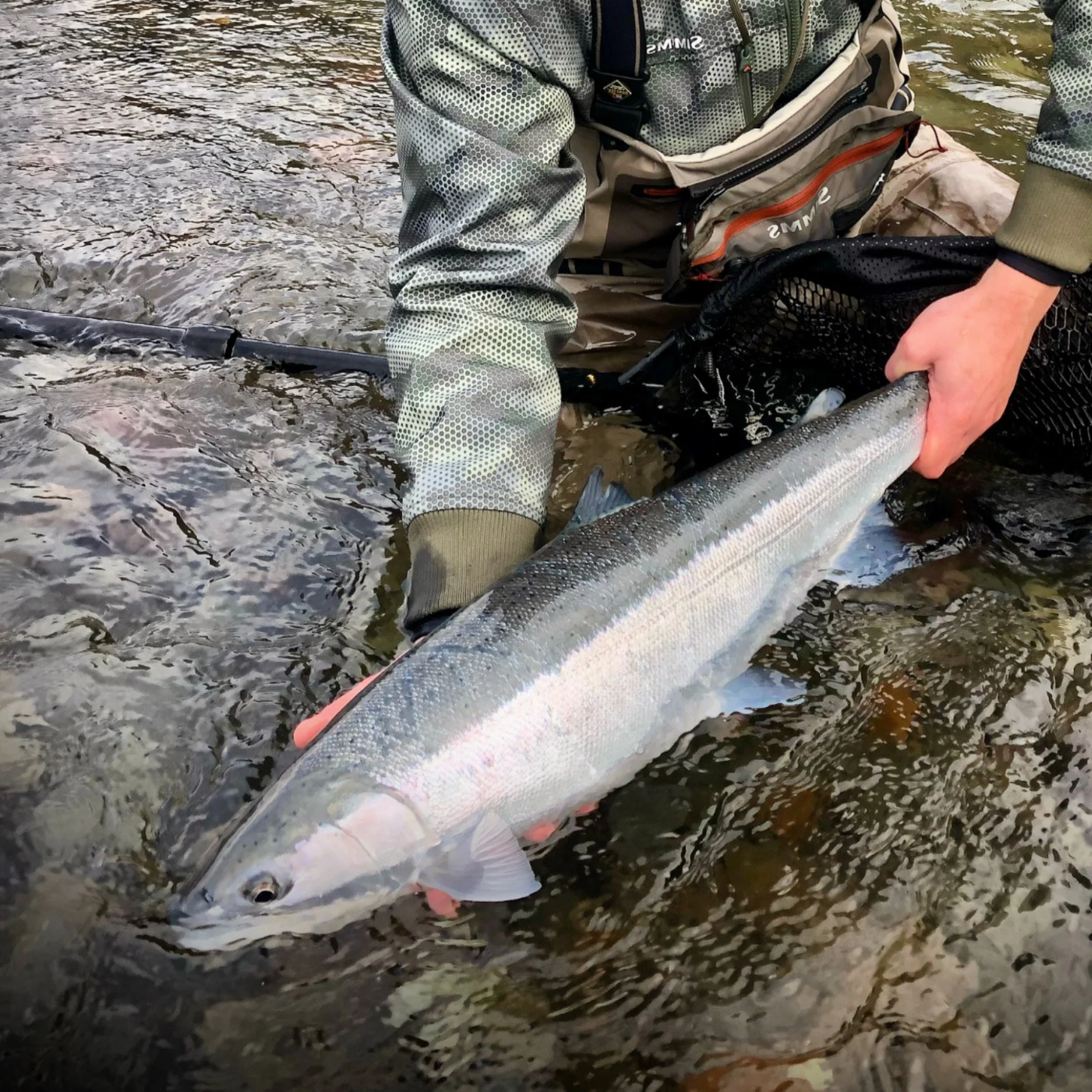 winter steelhead fishing Oregon
