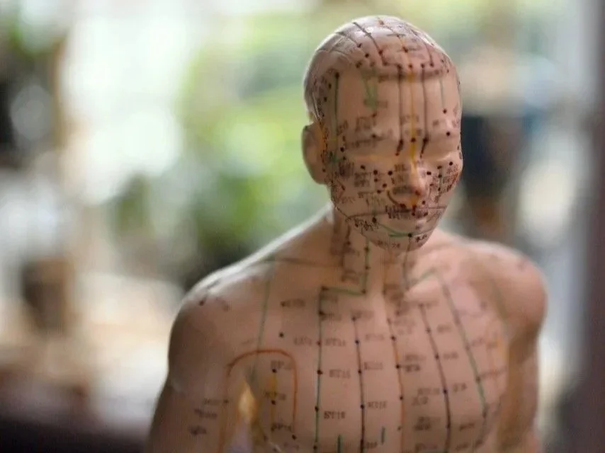 Red Dragon Wellness - Services - Traditional Chinese Modalities