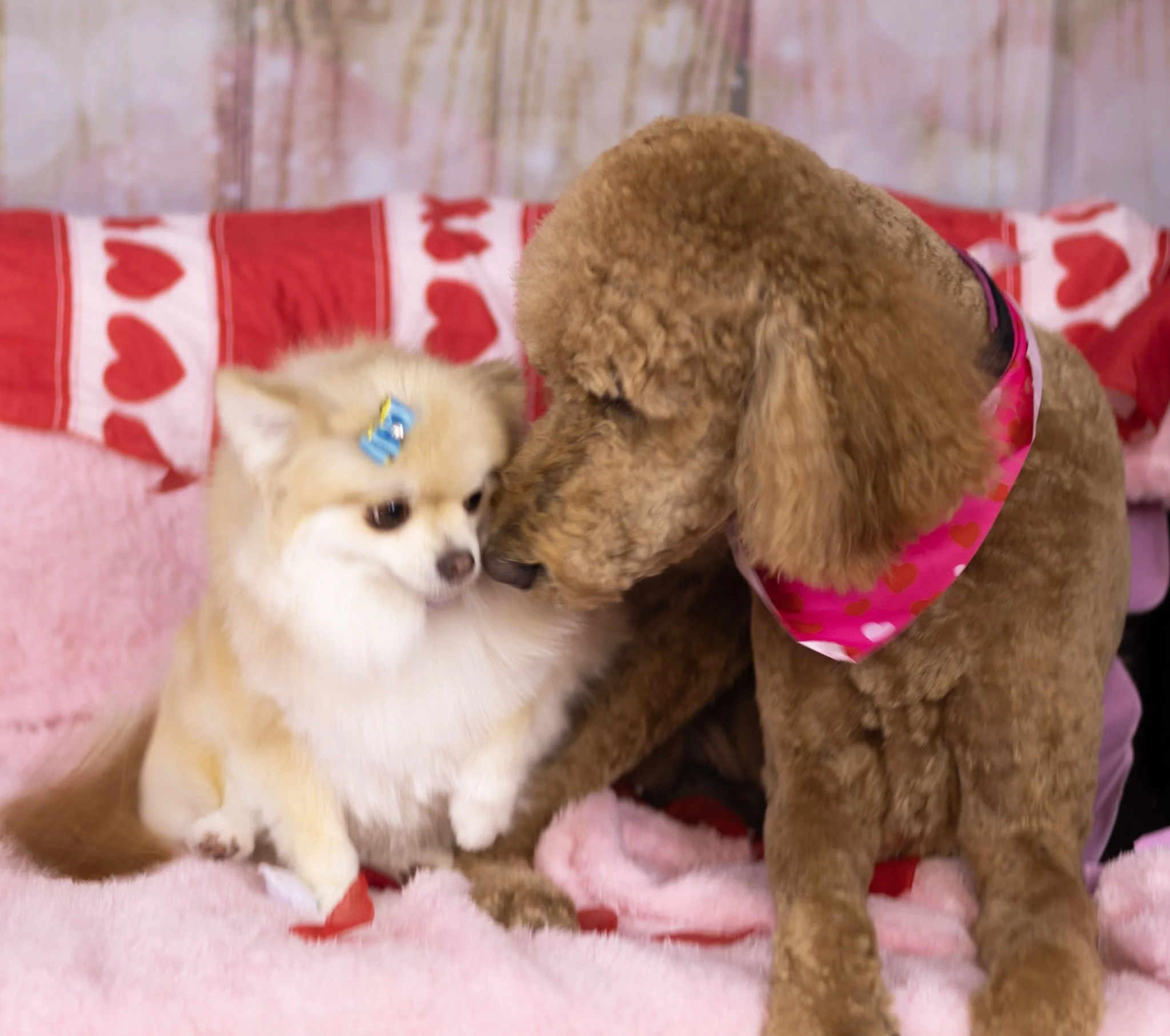 Ellie and Brelie.jpg