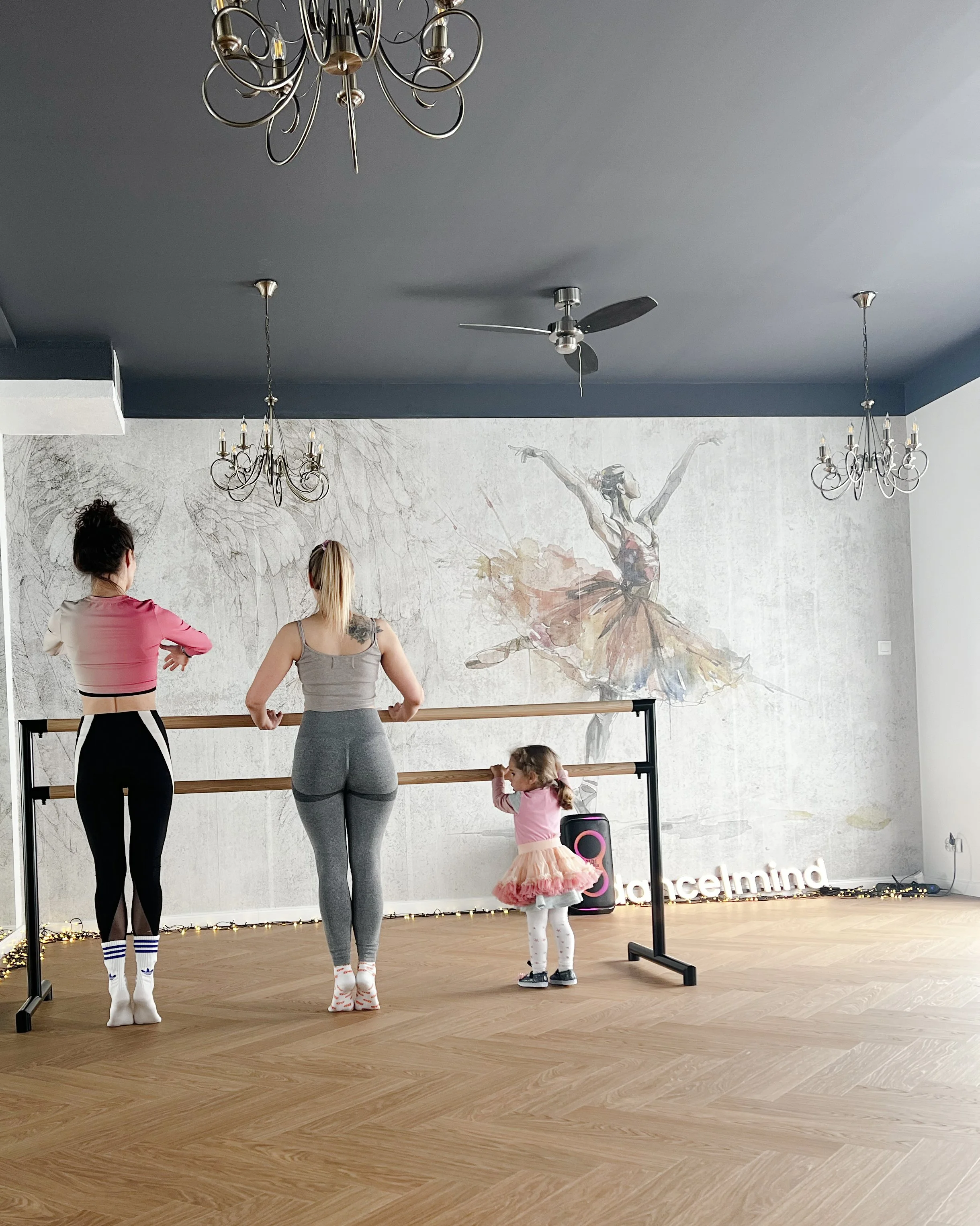 barre_mama_corka_dancemind.jpg