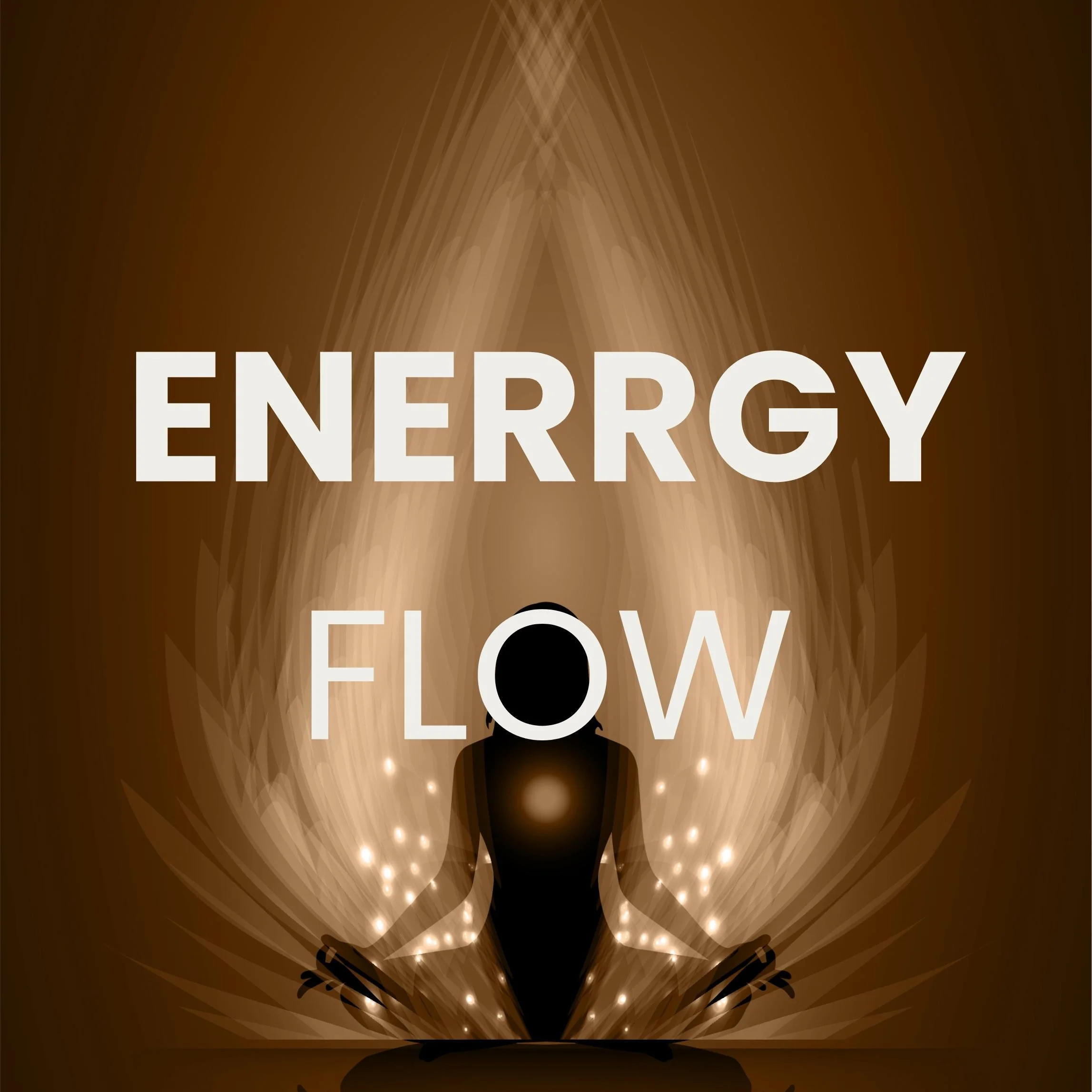 Silhouette of a person meditating with glowing light effects and energy lines, overlaid with the words 'ENERGY FLOW' in bold white font.