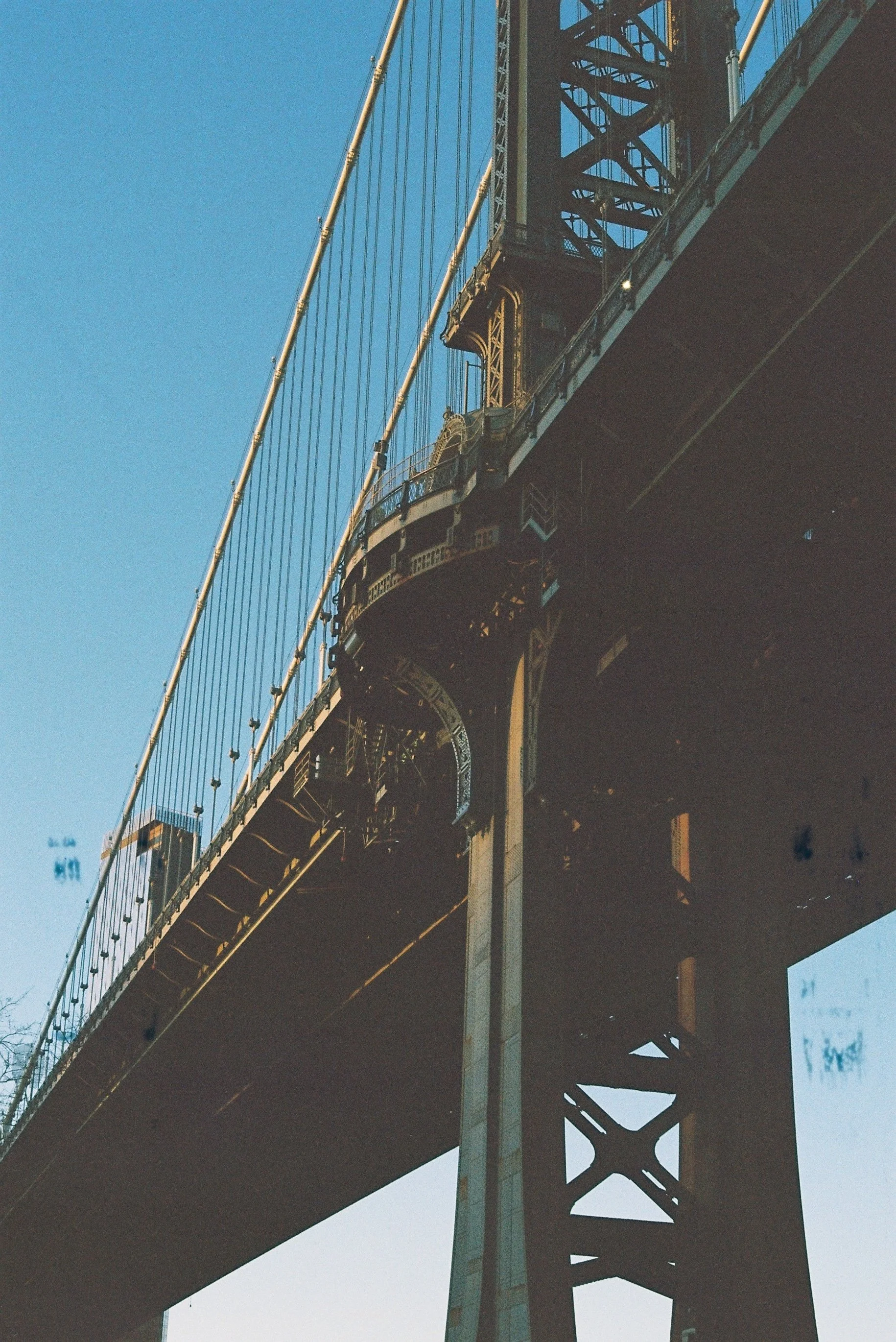 17.JPG