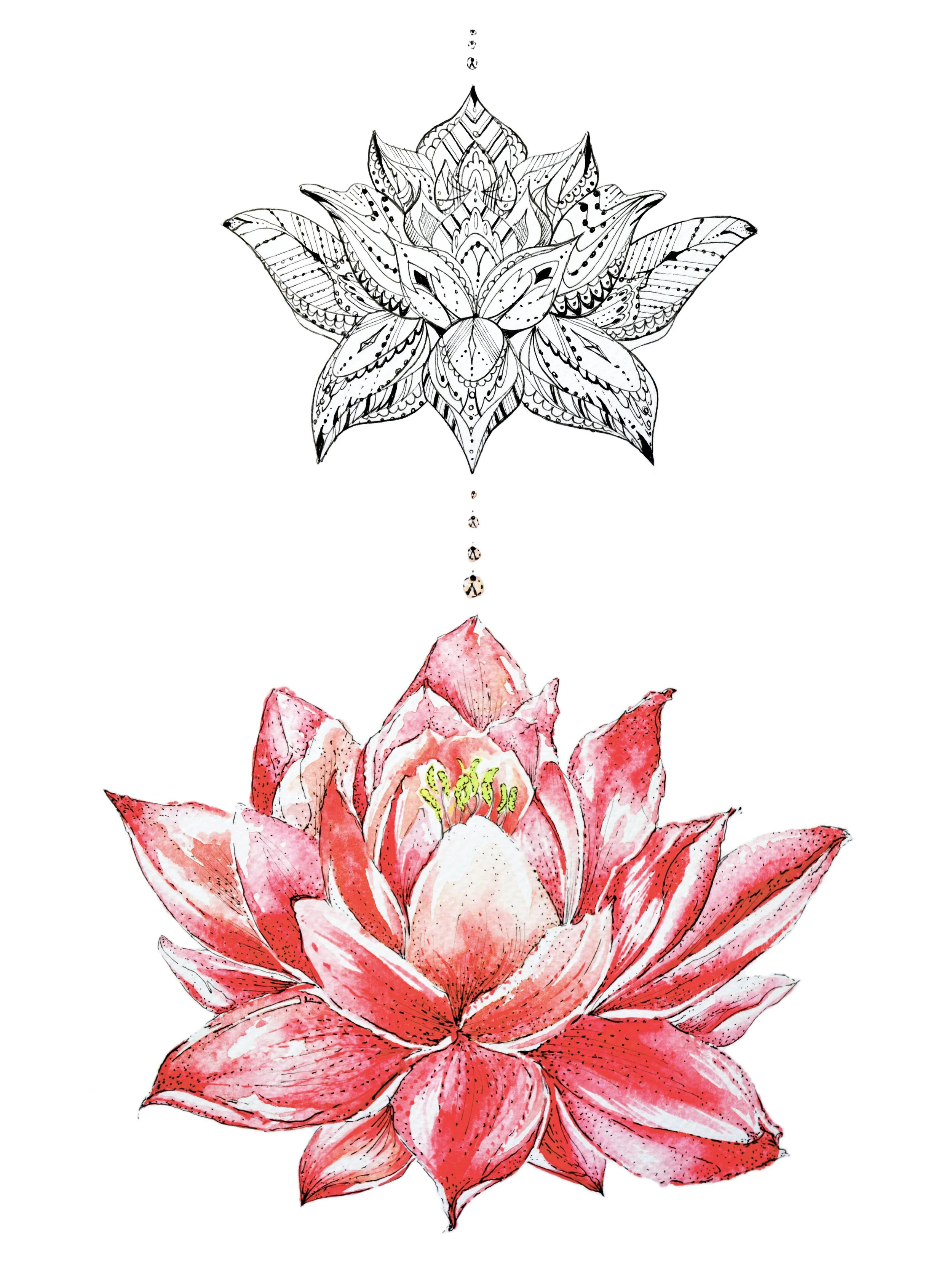 lotusprint12x16_red.JPG