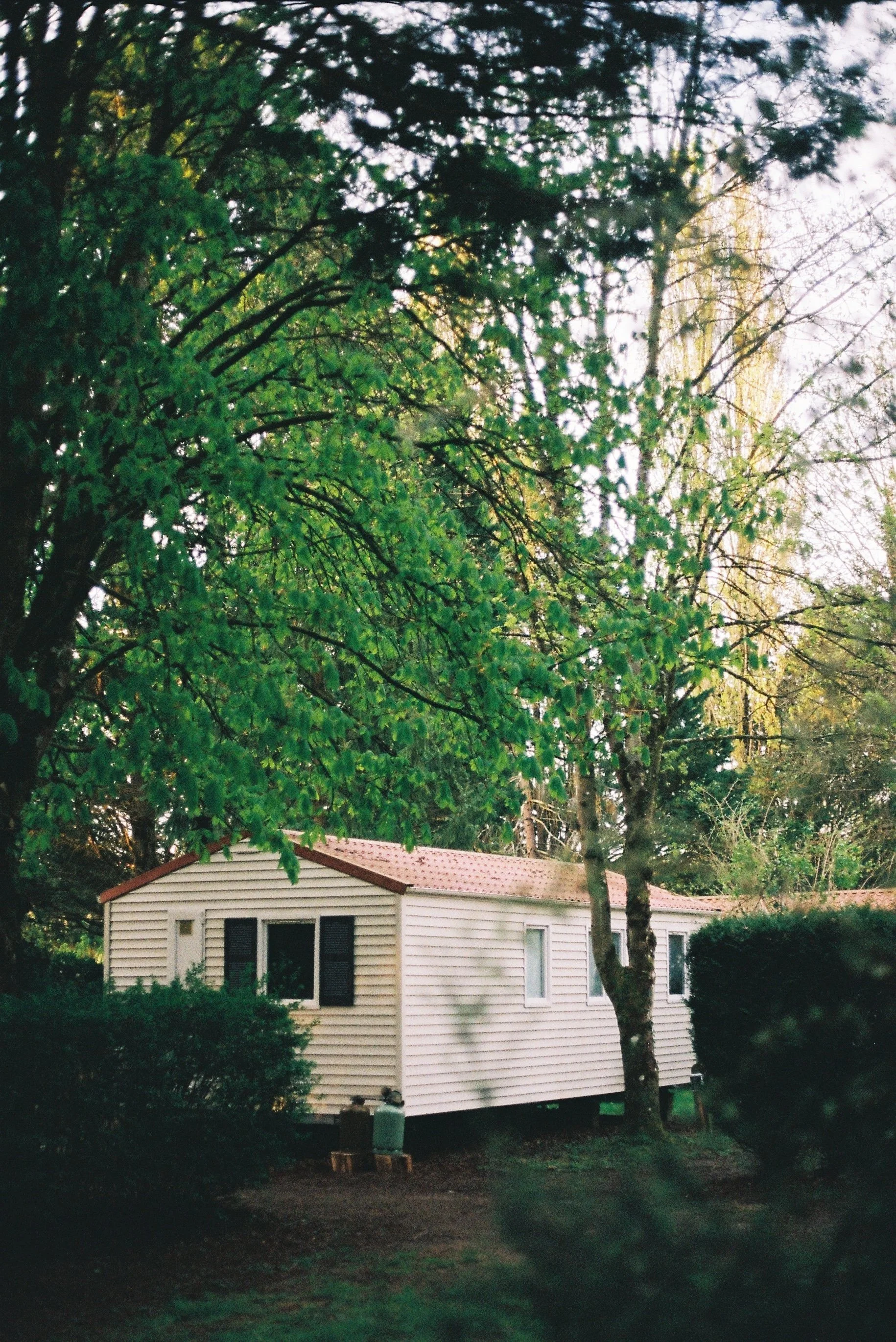 R1-06536-029A.JPG
