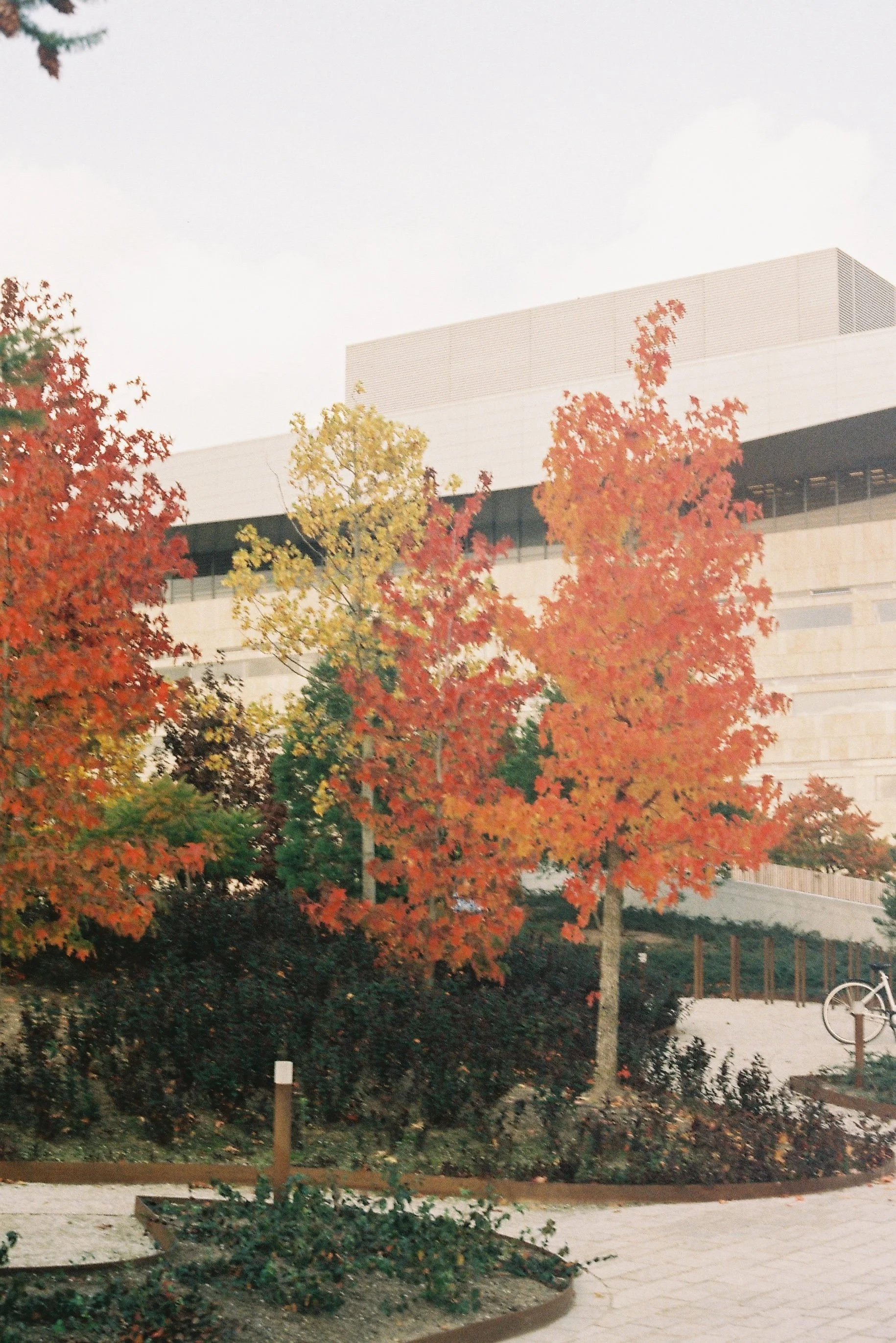 R1-03463-011A.JPG