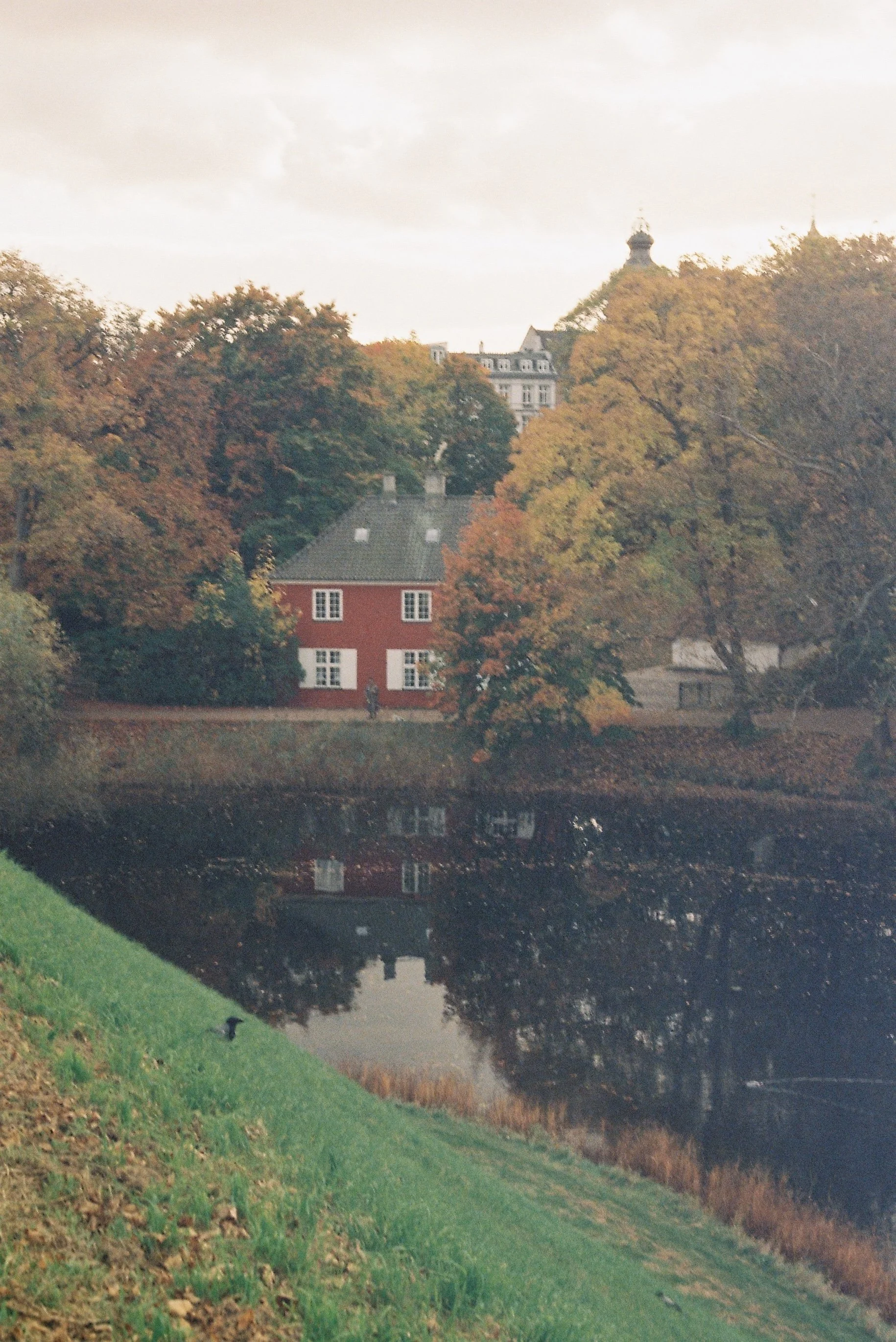 R1-03463-022A.JPG