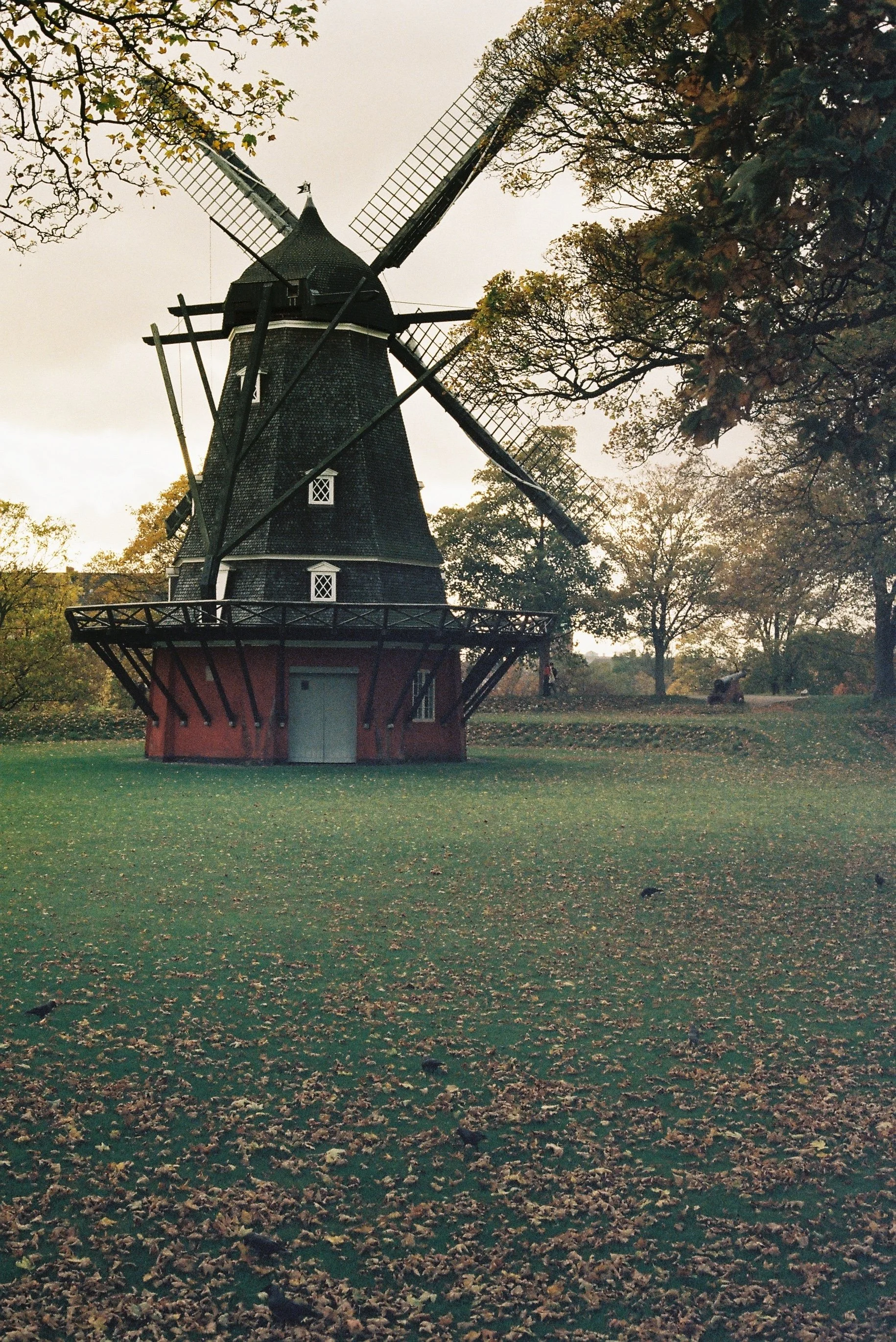 R1-03463-020A.JPG